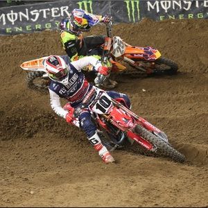 Meet your Posher, Wyatt